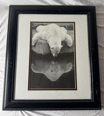 Black & White Polar Bear Portrait Photograph Wall Art, Matted & Framed