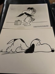 Vintage Lot Of Cartooon Fan Mail Souvenirs, Postcards, Photos Etc Snoopy Etc