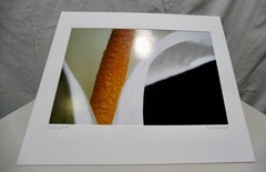 Original Photography Art Print «Calla»