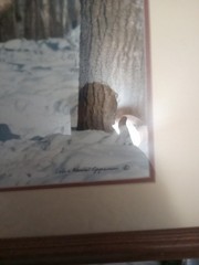 Framed And Signed Epperson Photography Grey Wolf 18×22