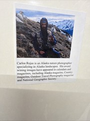 King Of The Alaska Mountains Fall Sheep A Hand Signed Print By Carlos Rojas