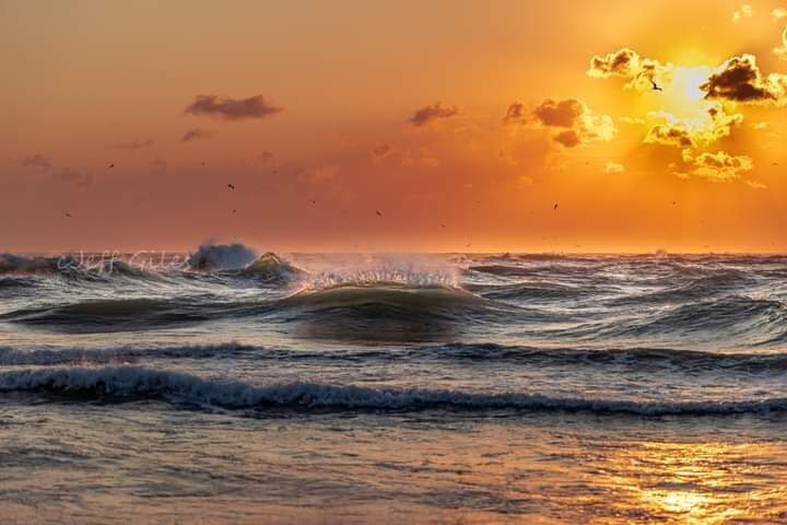 Beach sunrise, 8×10 Photo, Fine Art Picture, Living Room Bedroom Wall Art