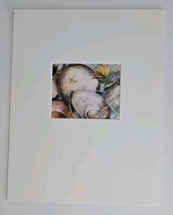Lenny Lyons Bruno Art Photograph Yellow Lily Still Life Hand Signed Matted 11×14