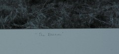 Original Signed & Numbered Art Photograph Titled «The Dream» by Laurie Coppedge