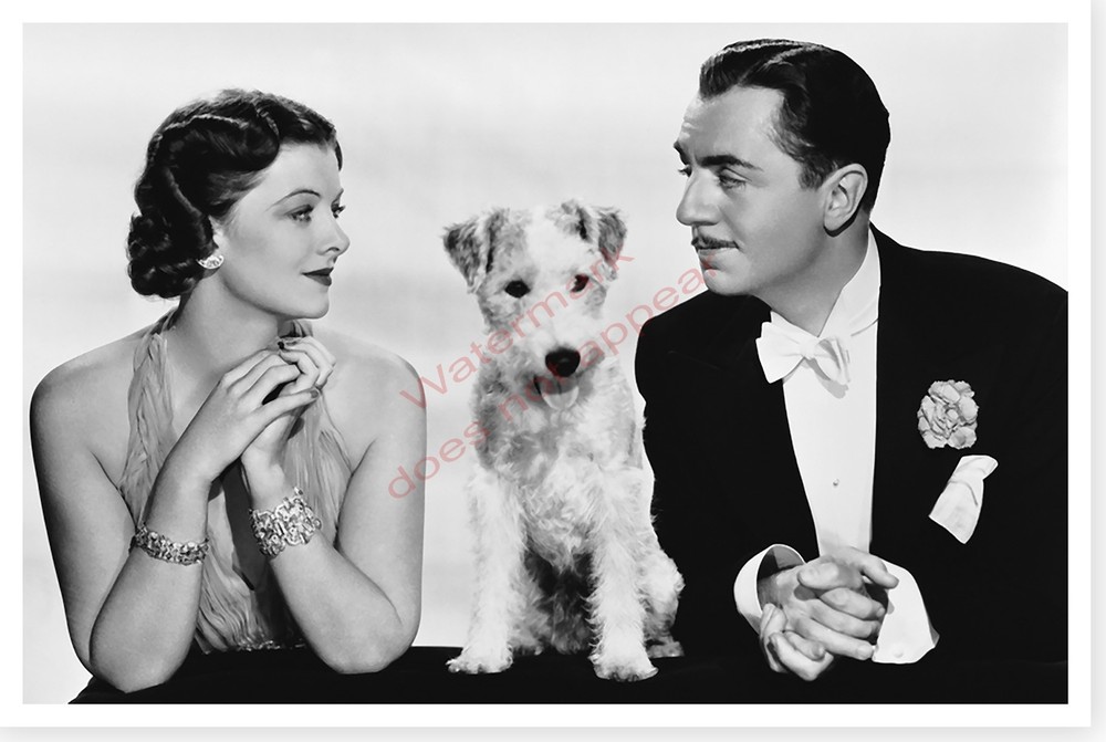 William Powell And Myrna Loy With Asta Thin Man 8 x 12 Silver Halide Photo