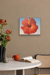 Wall Art Canvas Print From original photo, Limited Edition, 16x20x0.75 Inches