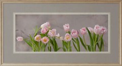 Floral Print Of Pink Tulips wall art print floral photography home decor