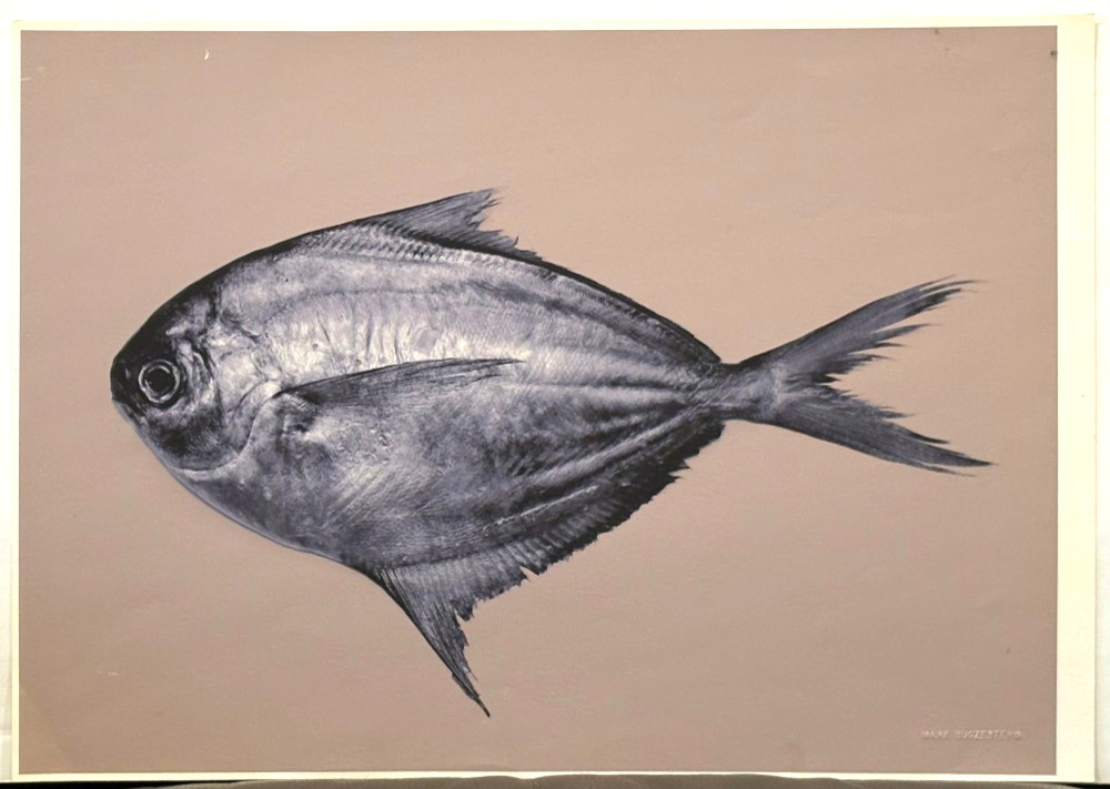Fish on Tan Background Archival Digital Pigment Print Photograph-Mark Bugzester