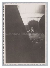 Polar Bear in Handle – Animal Circus – Old Photo