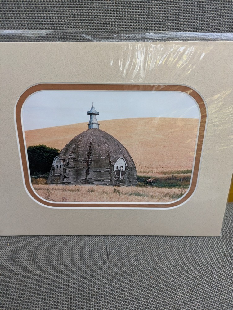 Lot of 4 Matted Photographic Artistry Signed By Richard Barrington Sealed