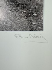 Patricia McGrady Photography – “A Bend In The Road” – Gorgeous Art
