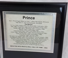 Prince Retrospective Memorial Framed Photos and Biography Double Matted #J4039