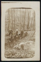 12x Real Photo Postcard Portrait People Groups in Forest and Nature 1910-1920s