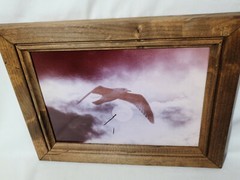 Vintage Clyde Butcher Original Photograph Art Framed Bird & Moon Photography