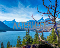 Mountain Scene- Glacier National Park, Montana 8×10 photo