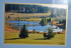 Framed & Matted Photograph by Susan Slapin WA. USA Aluminum Metal Print Signed