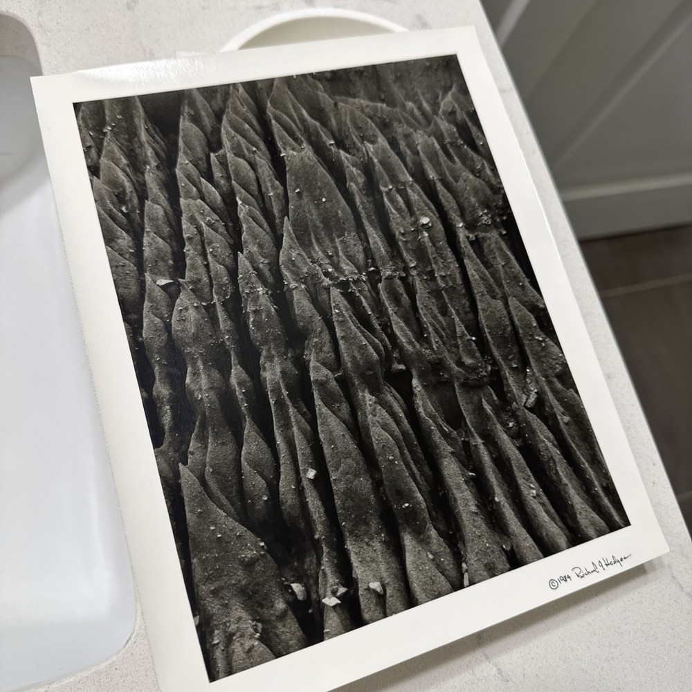 Original 1984 Handmade Darkroom Gelatin Silver Print by Richard J. Hedges