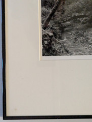 Photo B & W Photography by Rick Lang 1993