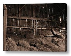 Rustic Barn ~ 30×20 Ready to Hang CANVAS WRAP ~ Still Life ~ LARGE WALL ART