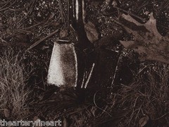 VIK MUNIZ ‘Shovel’, 1999 from ‘Pictures of Soil’ SIGNED Photograph Print 29″x23″