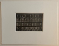 EADWEARD MUYBRIDGE authentic 1887 collotype ANIMAL LOCOMOTION PLATE 550 – lewitt