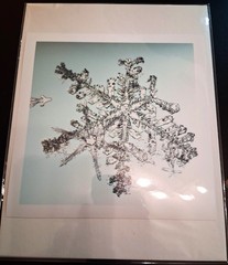 MIKE & DOUG STARN TWINS ‘Sno6_034.1 (Snowflake)’, 2005 SIGNED Photograph **NEW**