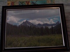 photo Mountain Valley Forest with Frame 8 x 10 size