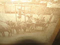 ANTIQUE 1800s REAL WESTERN AMERICANA ORIGINAL FARM WAGON SCENE FRAMED PHOTOGRAPH