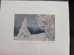 Set of 4 Wildlife/Nature Photographs by Jim Stamates, 4″x6″, Matted to 8″x10″
