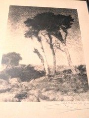 Original 1920 Hand Signed Leopold Hugo ‘Monterey Cypresses» Silver Photo Framed