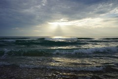 glossy fine art photographic images