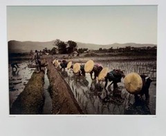 Reiji Esaki Japan Culture Du Riz Paddy Rice Fields Asia YellowKorner Photograph
