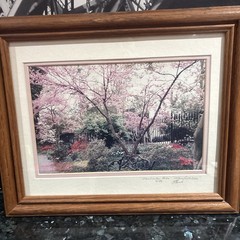 Cherry Blossom Photo Limited Edition # 4/89 Hand Signed Framed 16 1/2”x 13 1/2
