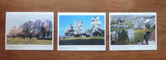 3 Christo and Jeanne-Claude, Wrapped Trees, Three Promotional Photographs, 1998