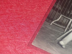 [CIRCUS] LARGE VINTAGE PHOTO / THE TIGER Tamer Ca 1970 40 X 30 Cm