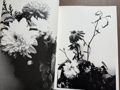 🎈SIGNED w Drawing! Nobuyoshi Araki – HANA-JINSEI, 2002 Japan Limited Ed, Unique