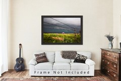 Country Photography Print: Texas Pink Thistle Flower Storm Barbed Wire Photo