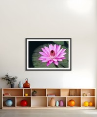Pink Water Lily 01 XL Giclee Fine Art Print 20 x 30 inches unframed
