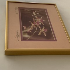 Original Photo Pink Orchid Signed & Framed Estate 1981