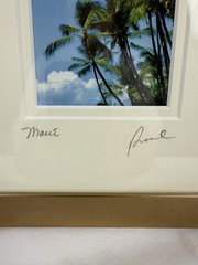 Maui Pro Photography Artist Signed Beautifully Framed and Matted