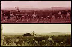Janine Gordon Photograph 20×40″ C-print Edition Cowboy Marfa Fine Art Horses