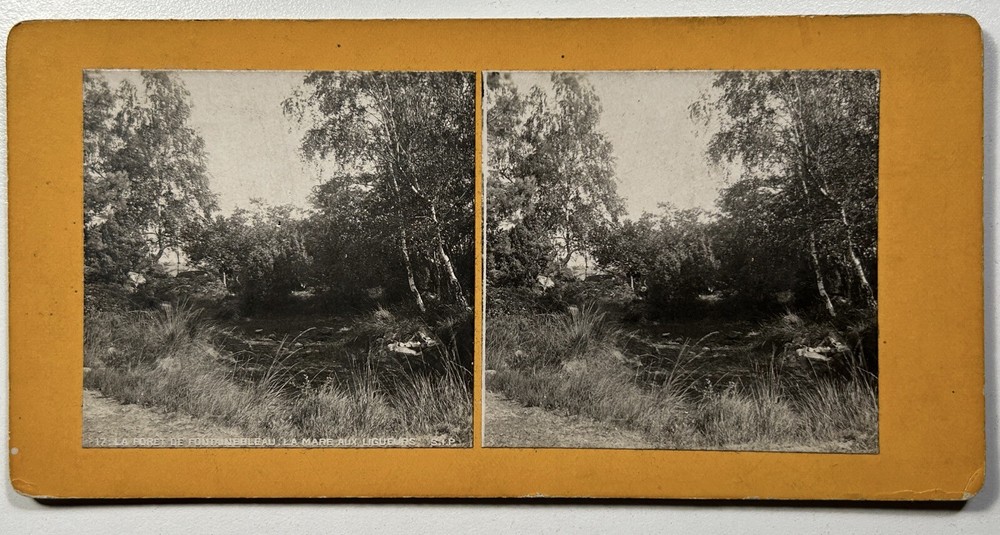 France Forest Of Fontainebleau La Mare After Leaguers Photo c1900 Stereo Vintage