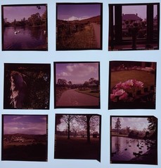 12 KODAK MUTED COLOUR SLIDES 1950s ENGLISH SOCIAL HISTORY