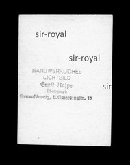 Brunswick 1930s – Pretty Woman – Passport Photo Passport Photo – Photo 5x8cm