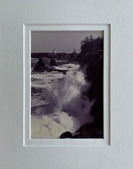 Gary Davis – original, signed, framed photograph «Cape Arago»