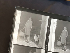 NEWLY FOUND! Hendrickson PHOTO Contact Sheet Proof/Negs FARM GIRL FEEDS CHICKENS