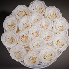17 Flowers in a Luxury Suede Box, Birthday Gifts for Women, Preserved Flowers…