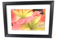 HIBISCUS 4×6 » MATTED AND FRAMED PRINT, READY TO HANG, GREAT FOR GIFTGIVING
