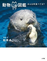 Animal Food Encyclopedia: What Do They Eat?