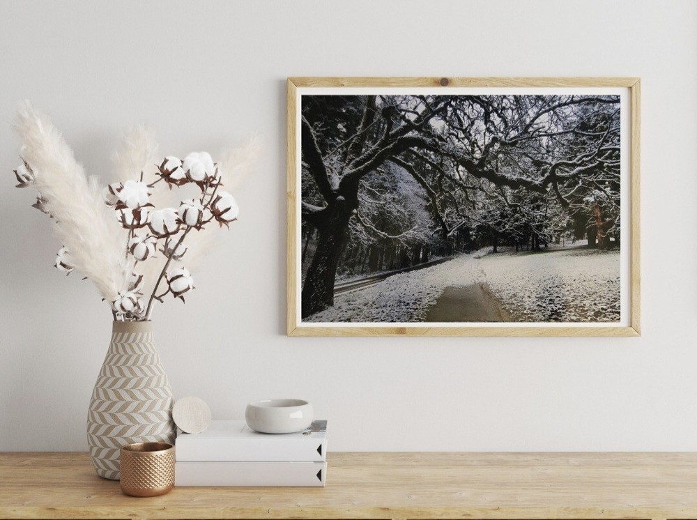 Wall Art Print Original Photogrphy High-quality 12 X 8